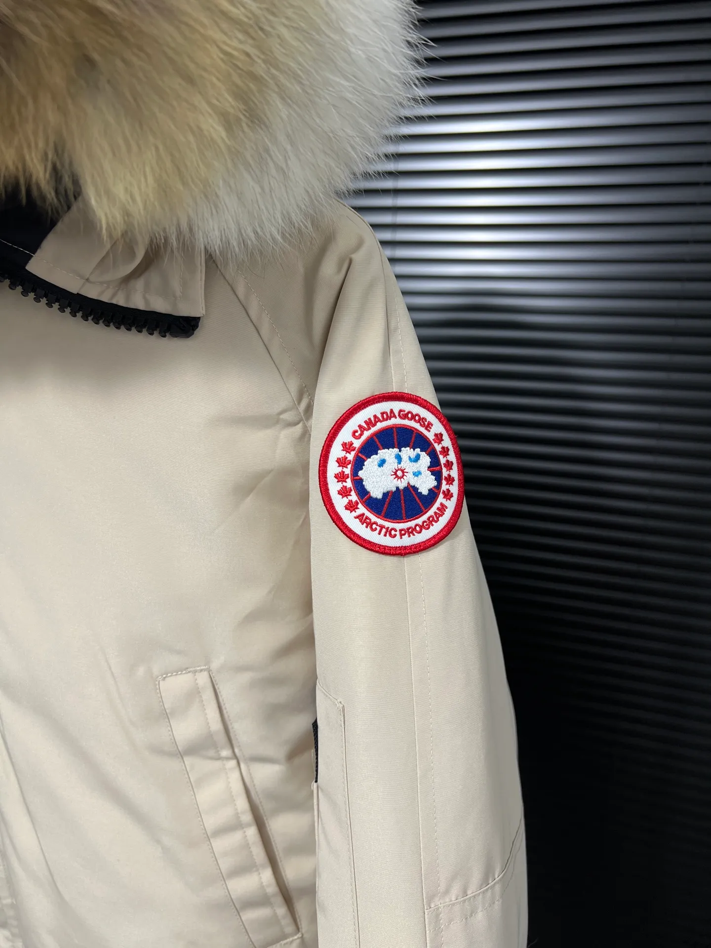 P720 🆕Top version! Comes with a tote bag! Chip version💰𝑪𝒂𝒏𝒂𝒅𝒂 𝑮𝒐𝒐𝒔𝒆/Canada Goose Chilliwack Goose 01 bomber jacket down! The top original replica version refers to the highest version in China currently (there is no one) ⚠️Note: There is no foundry in China! ! ! Saying it is original order, ZP goods, pure original goods, etc. is just a gimmick by some peers. Do not be deceived!  ⚠️Note: The latest version of this year’s authentic product has a strap (the latest version can be bought at the newly opened Galeries Lafayette Canada Goose counter in Beijing) ⚠️Note: (The authentic product does not have blue wash marks this year) Version comparison introduction 1⃣️Top replica: Made of 18-count polyester-cotton blended fabric imported from South Korea (authentic synchronized fabric), national standard 90 white duck down, western Canadian coyote hair 2⃣️Mid-range version: Made of domestically produced 21-count polyester-cotton fabric, 50% standard white duck down, Eastern Canada coyote hair, top original goose analysis Analysis 1 (wolf hair): All customers are guaranteed to receive a fur collar that is grayer than the original color. Each wolf hair is 55cm long and 14cm wide, all made from wild first-grade gray wolf skins in western Canada! Analysis 2 (Trademark): We use dyed embroidery thread to truly achieve 100% reproduction of the trademark, ensuring that the embroidery thread is exactly the same as ZP, with zero color difference and 100% reproduction of the map letters! (We can guarantee that no one in our industry is more attentive and professional than us!) Analysis 3 (fabric): As we all know, the Canada Goose ZP fabric in previous years was a 21-count polyester-cotton washed, calendered and brushed fabric that was relatively hard. Last year and this year, dozens of authentic products purchased were all made of 18-count pure cotton fabrics, and we finally decided to use 18-count polyester cotton! (ZP synchronized fabric) Analysis 4 (Accessories): Domestic exclusive version of Velcro, one to one Y-shaped double hook original Velcro, YKK zipper, exclusive original workmanship of washed threaded down jacket!  Authentic products are not 100% perfect and flawless. Authentic products also have velvet hair loss, and most of the authentic wolf fur is mainly eastern yellow wolf fur. (Because our wolf skins are all auctioned at the same auction house as authentic products) There is an auction list to prove it.  At the same time, I will teach you a trick: buy an authentic product from Tmall, buy a piece of clothing from a merchant you trust at the same time, and come back to compare the details. ⚠️ Remember you get what you pay for! Don't be greedy for small gains, or you will suffer big losses! Color: Black Navy Beige Graphite Gray Royal Blue Size: XS S M L 54 120 84 79 140-160 XL 56 124 86 81 160-180 XXL 58 128 88 83 180-200